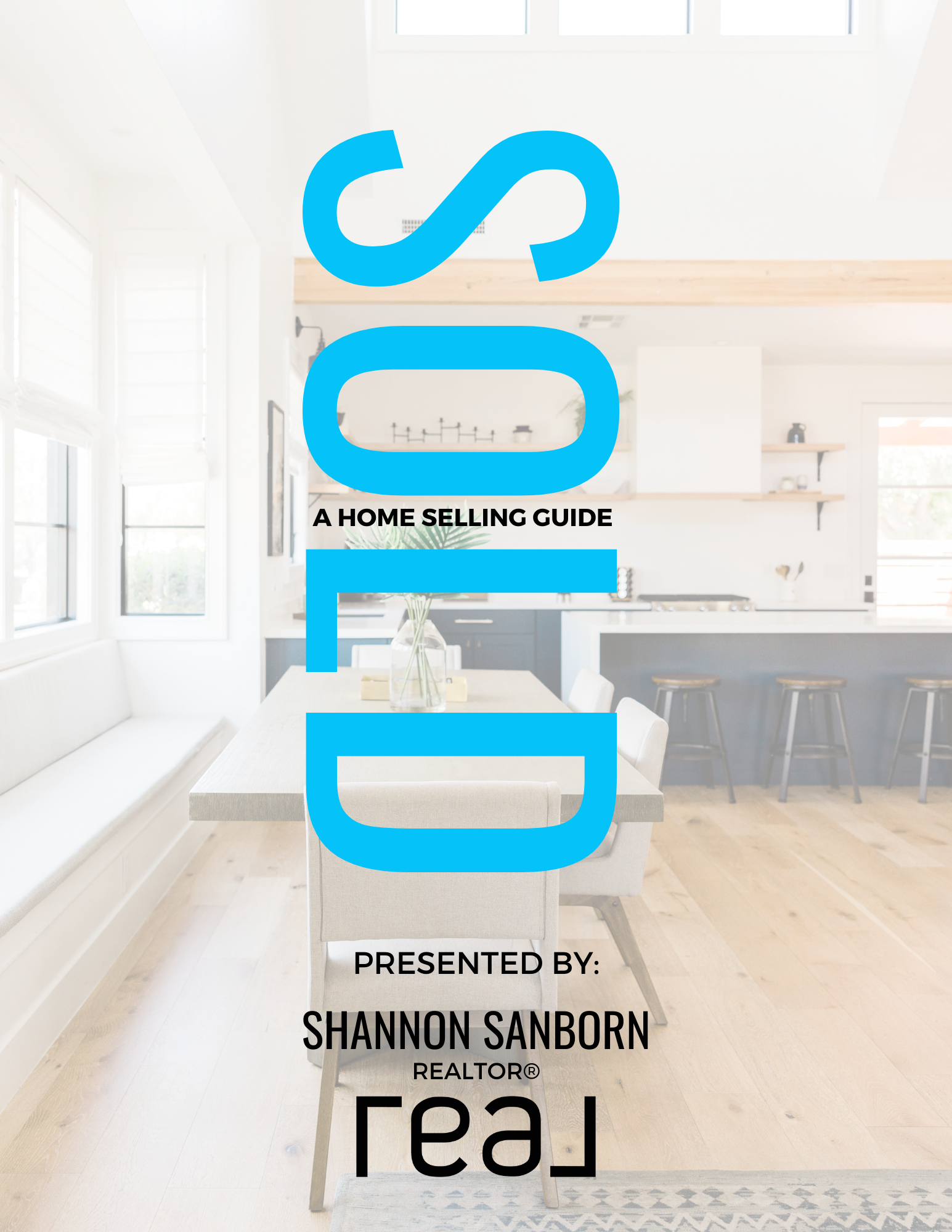 Local Realtor Shannon Sanborn Gainesville Ga